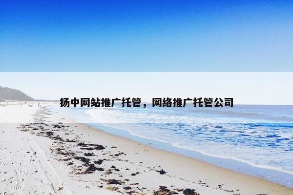 扬中网站推广托管，网络推广托管公司