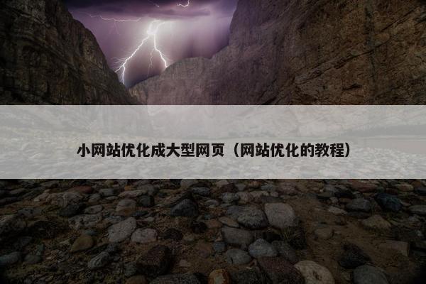 小网站优化成大型网页（网站优化的教程）
