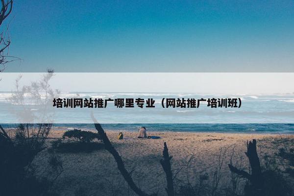 培训网站推广哪里专业（网站推广培训班）