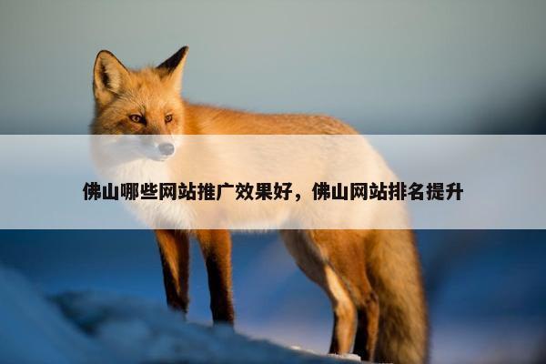 佛山哪些网站推广效果好，佛山网站排名提升