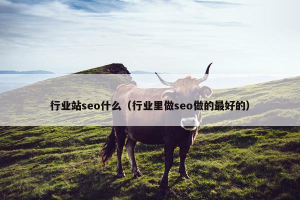 行业站seo什么（行业里做seo做的最好的）