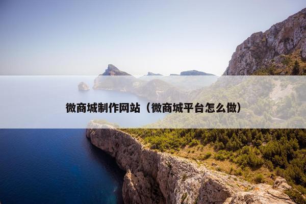 微商城制作网站（微商城平台怎么做）