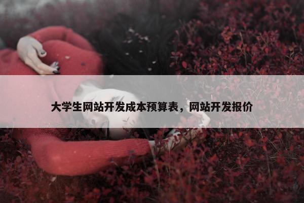 大学生网站开发成本预算表，网站开发报价
