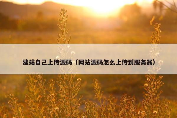 建站自己上传源码（网站源码怎么上传到服务器）
