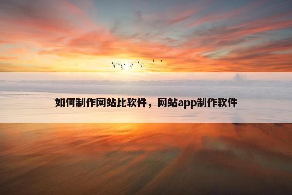 如何制作网站比软件，网站app制作软件