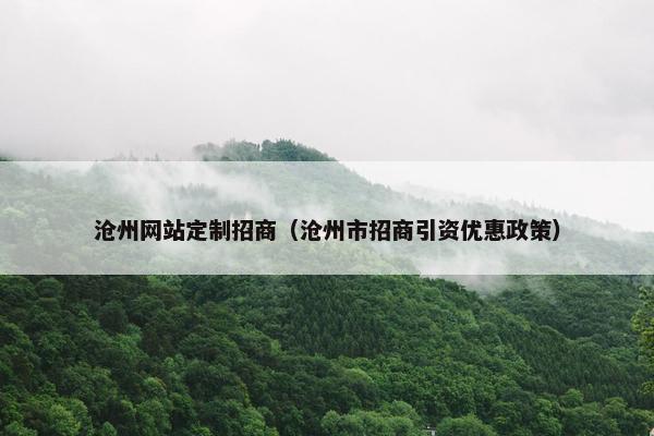 沧州网站定制招商（沧州市招商引资优惠政策）