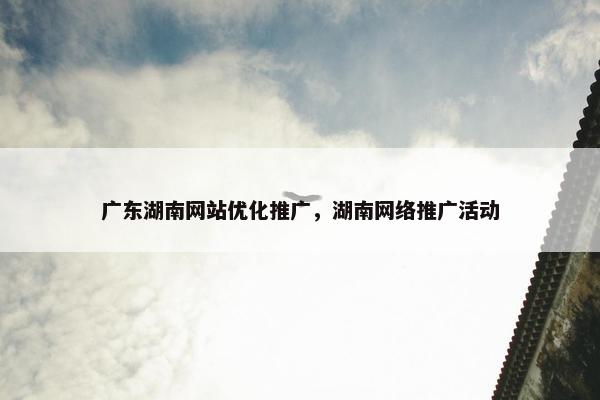 广东湖南网站优化推广，湖南网络推广活动