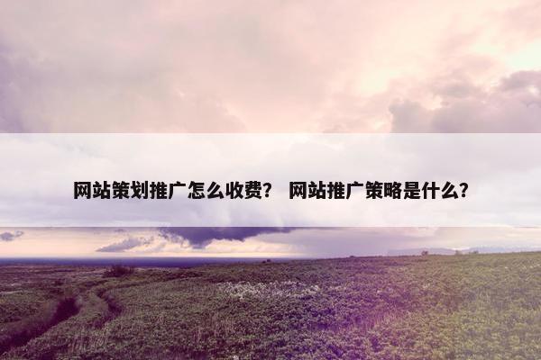 网站策划推广怎么收费？ 网站推广策略是什么？