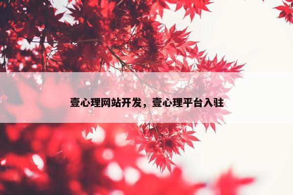 壹心理网站开发，壹心理平台入驻