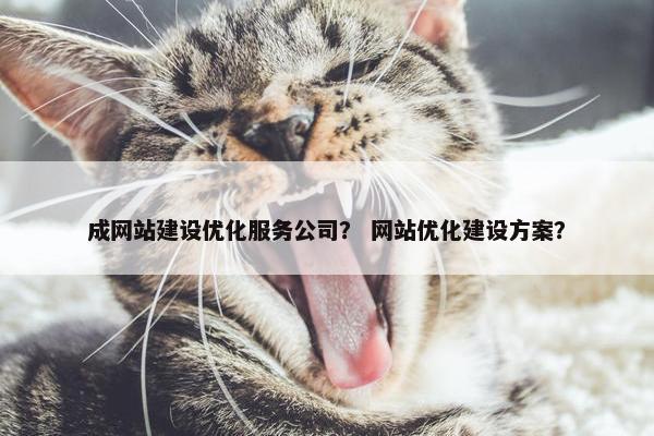 成网站建设优化服务公司？ 网站优化建设方案？