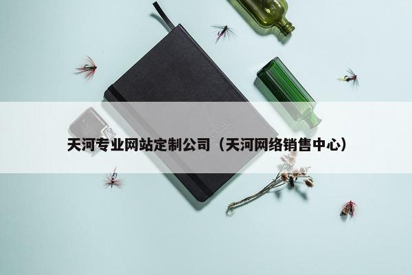 天河专业网站定制公司（天河网络销售中心）