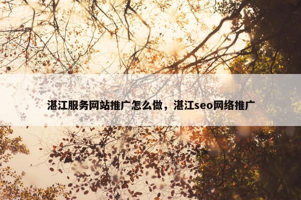 湛江服务网站推广怎么做，湛江seo网络推广
