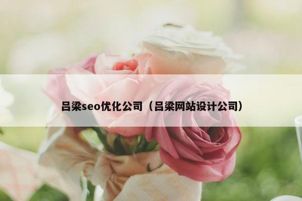 吕梁seo优化公司（吕梁网站设计公司）