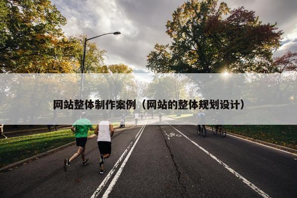 网站整体制作案例（网站的整体规划设计）