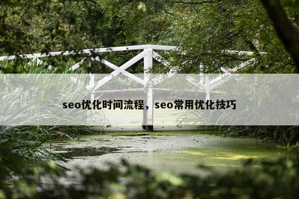 seo优化时间流程，seo常用优化技巧