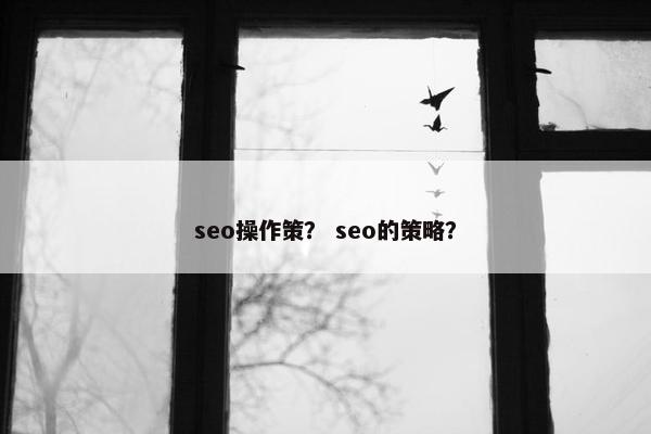 seo操作策？ seo的策略？