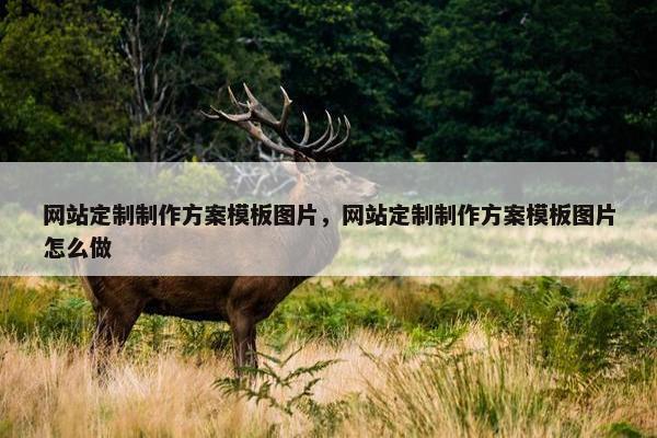 网站定制制作方案模板图片，网站定制制作方案模板图片怎么做