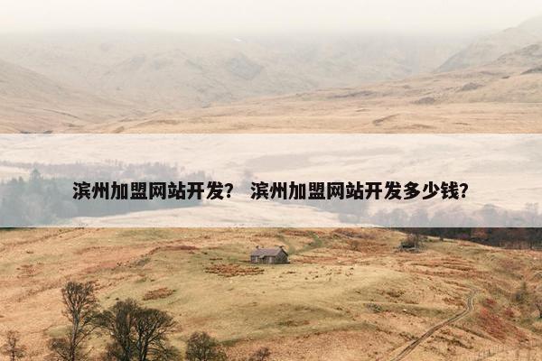 滨州加盟网站开发？ 滨州加盟网站开发多少钱？