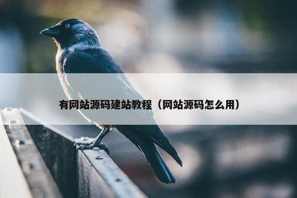 有网站源码建站教程（网站源码怎么用）