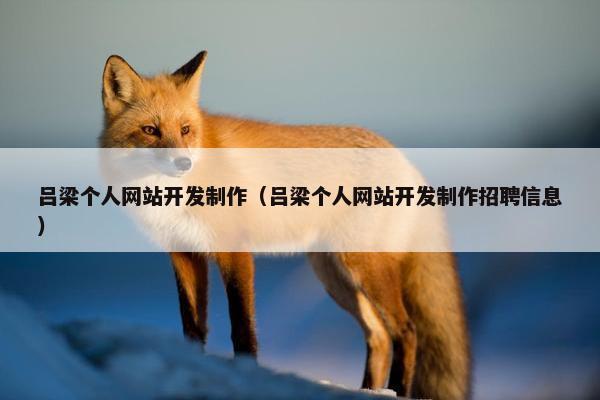 吕梁个人网站开发制作（吕梁个人网站开发制作招聘信息）