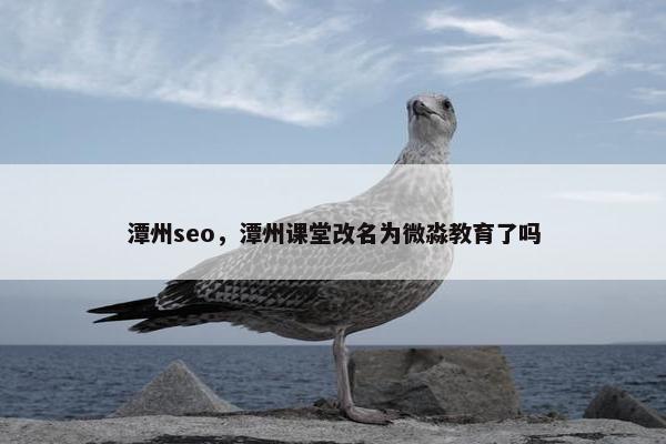 潭州seo，潭州课堂改名为微淼教育了吗