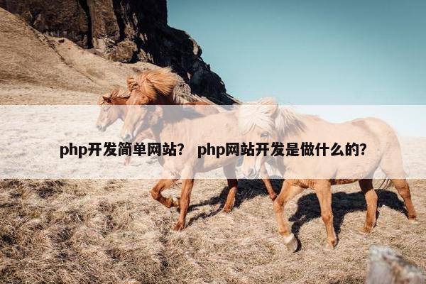 php开发简单网站？ php网站开发是做什么的？