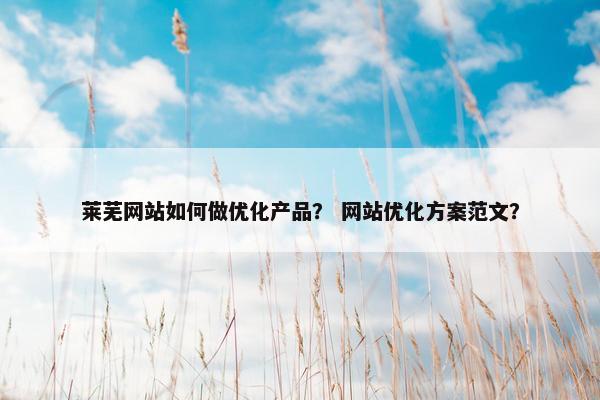 莱芜网站如何做优化产品？ 网站优化方案范文？