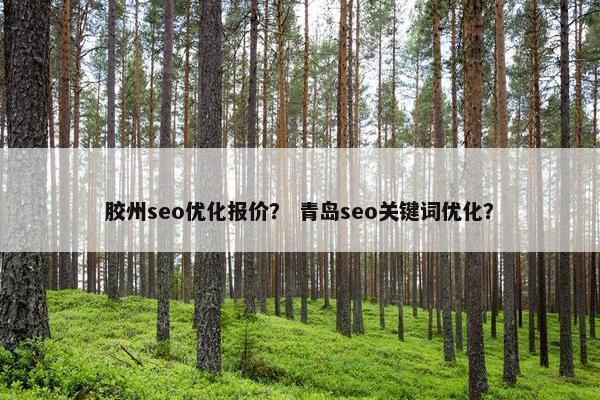 胶州seo优化报价？ 青岛seo关键词优化？