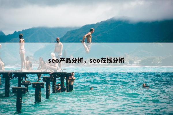 seo产品分析，seo在线分析