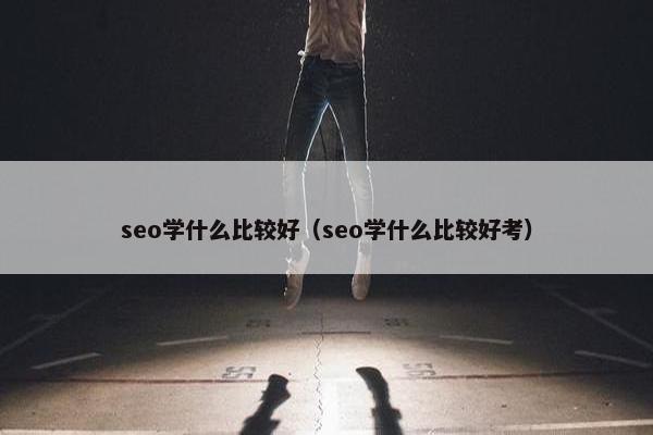 seo学什么比较好（seo学什么比较好考）
