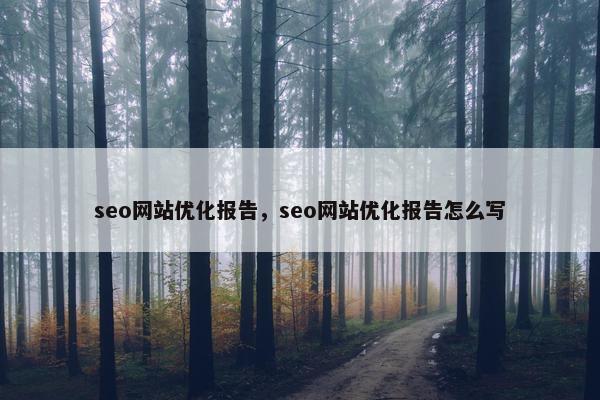 seo网站优化报告，seo网站优化报告怎么写