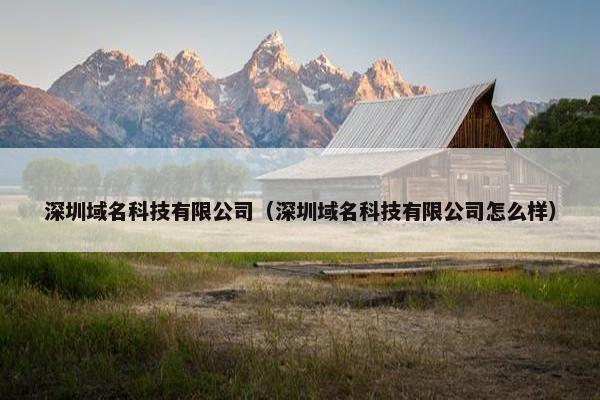 深圳域名科技有限公司（深圳域名科技有限公司怎么样）