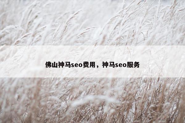 佛山神马seo费用，神马seo服务