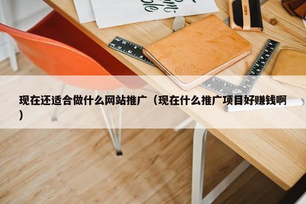 现在还适合做什么网站推广（现在什么推广项目好赚钱啊）