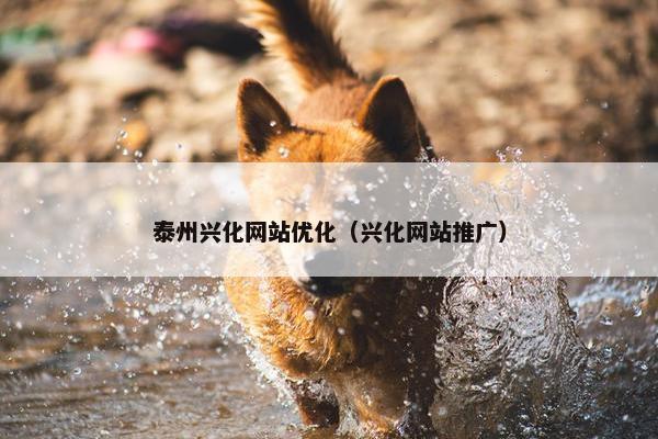 泰州兴化网站优化（兴化网站推广）