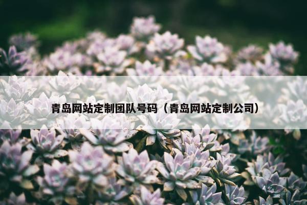 青岛网站定制团队号码（青岛网站定制公司）