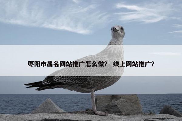 枣阳市出名网站推广怎么做？ 线上网站推广？