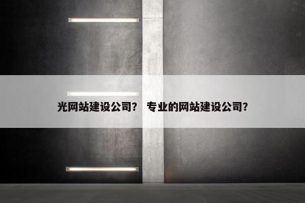 光网站建设公司？ 专业的网站建设公司？