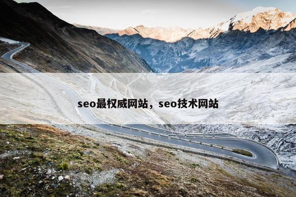 seo最权威网站，seo技术网站