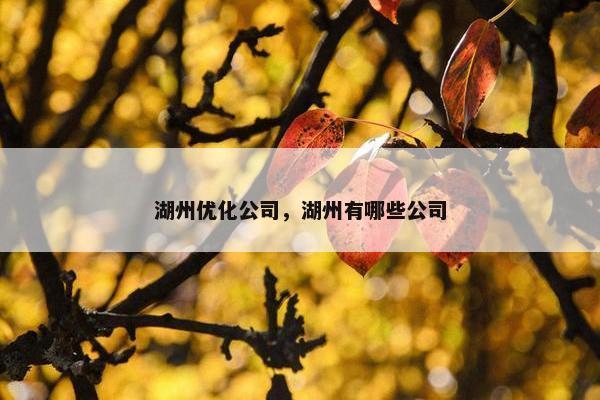 湖州优化公司，湖州有哪些公司