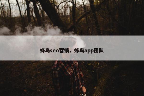 蜂鸟seo营销，蜂鸟app团队