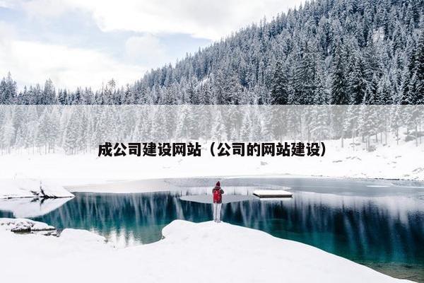 成公司建设网站（公司的网站建设）