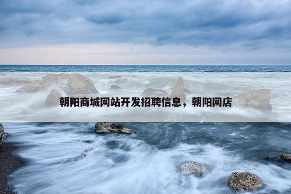 朝阳商城网站开发招聘信息，朝阳网店