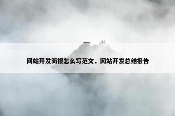 网站开发简报怎么写范文，网站开发总结报告