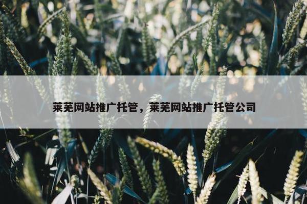 莱芜网站推广托管，莱芜网站推广托管公司