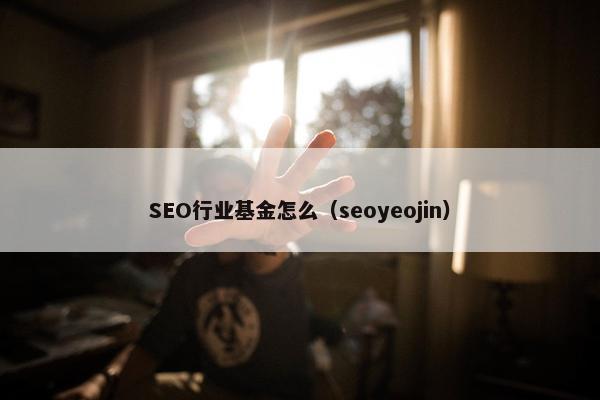 SEO行业基金怎么（seoyeojin）