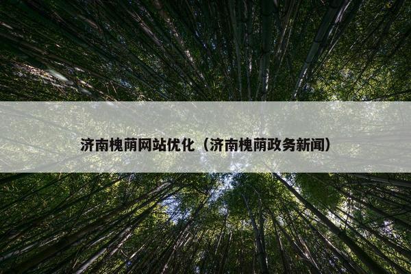 济南槐荫网站优化（济南槐荫政务新闻）