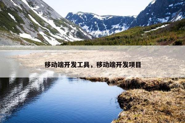移动端开发工具，移动端开发项目