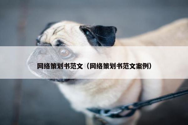 网络策划书范文（网络策划书范文案例）