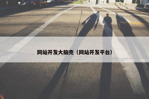 网站开发大脑壳（网站开发平台）